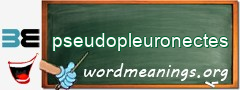WordMeaning blackboard for pseudopleuronectes